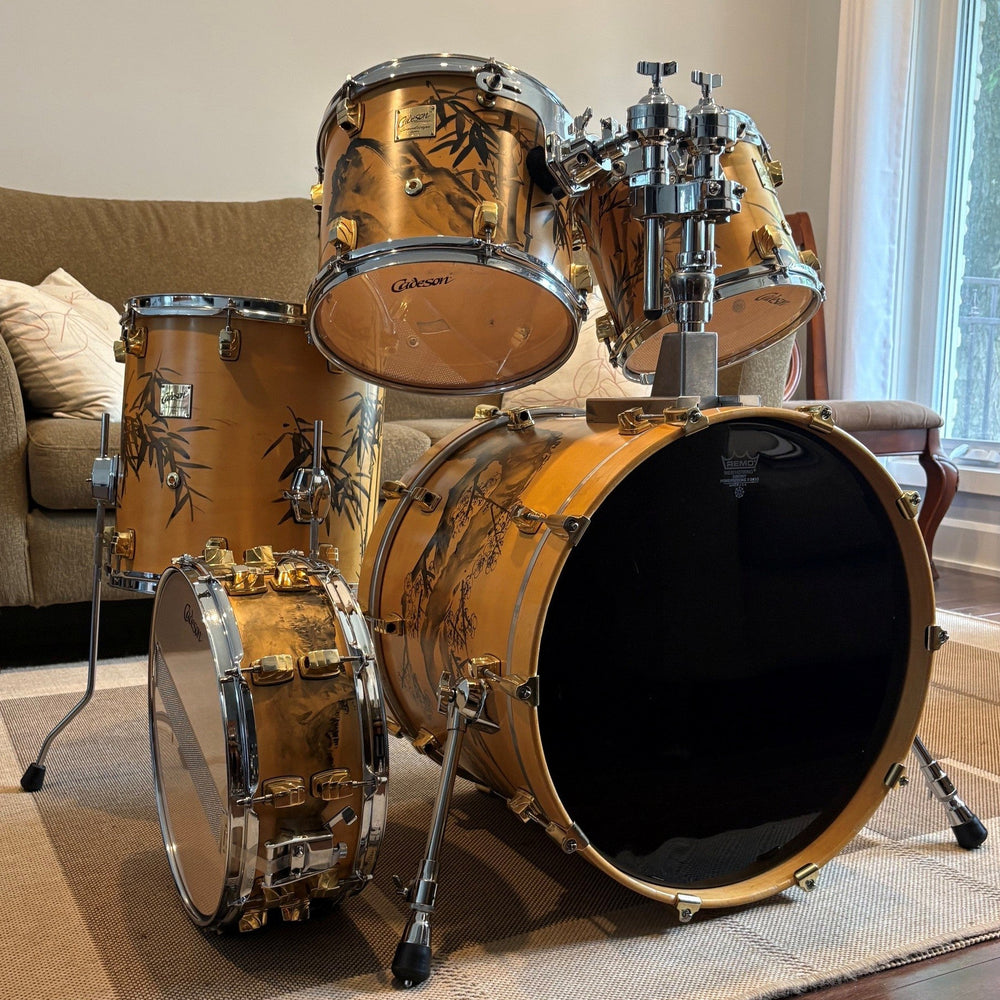 Cadeson Soundscape Series drum set 5-Piece/Batterie de 5mcx - used/usagée