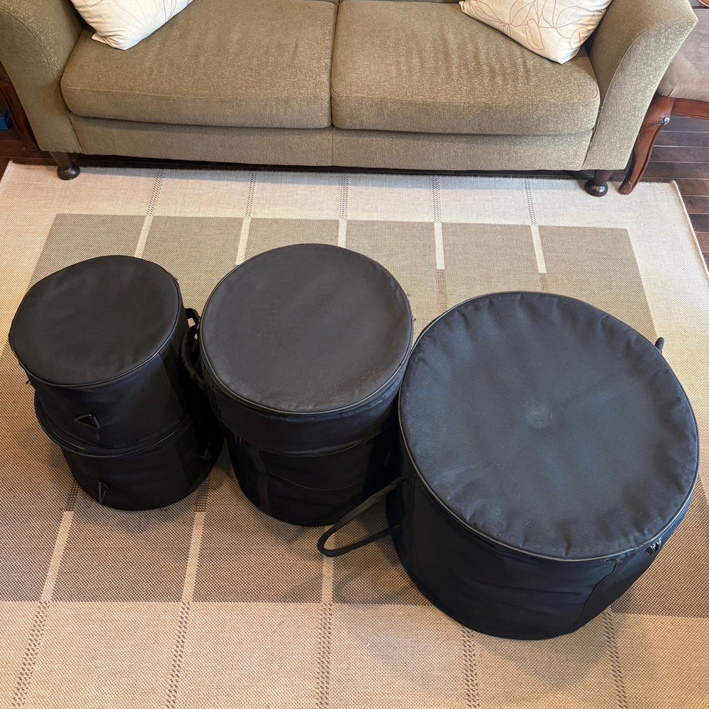 Gig bags/ sacs transport - used/usagés